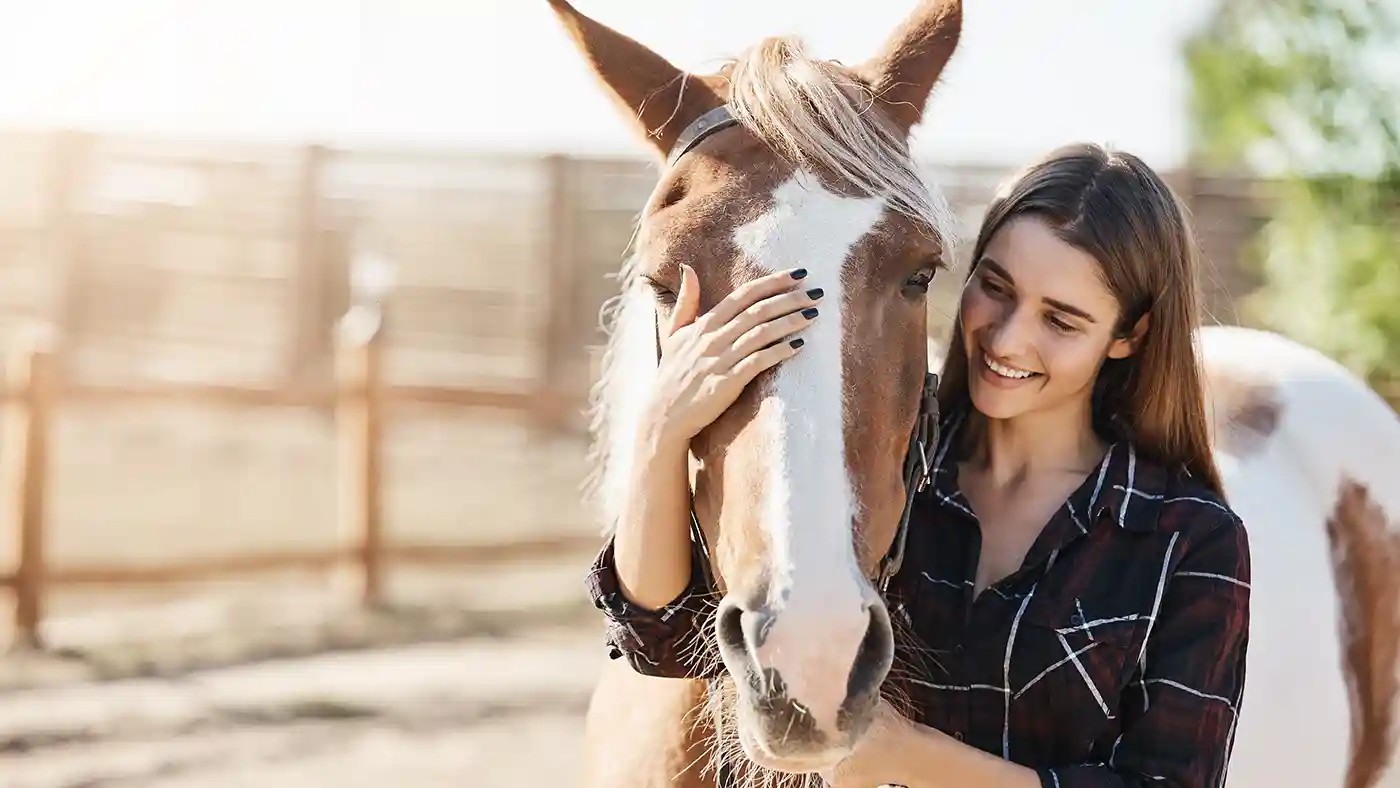 Pet Cube Young Lady with Horse